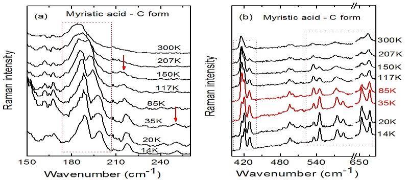 50000 40000 30000 20000 10000 0 200 400 600 800 1000 1200 1400 1600 2800 3000 Número de onda (cm -1 ) Figura 2: Espectro Raman (região espectral: 100 3100 cm -1 ) do cristal de ácido mirístico na