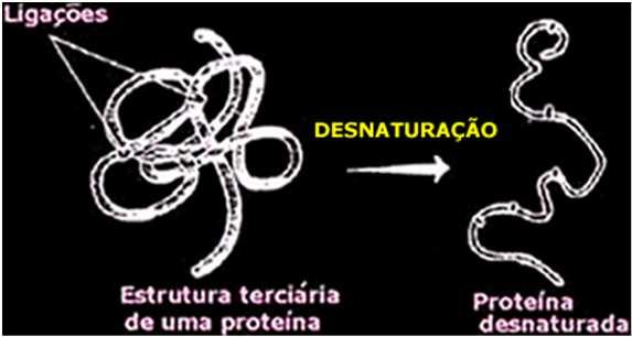Cloro e Compostos Clorados Mecanismo de ação: a ação germicida é atribuída ao ácido hipocloroso.