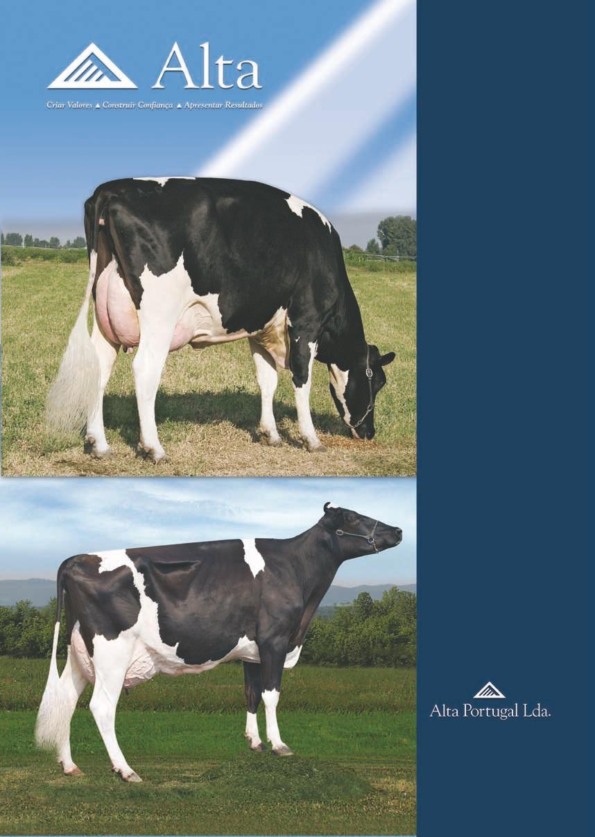 11HO8035 AltaGOLDPLATE IGNITER x RUDOLPH Descendente de 9 gerações de vacas MB e EX; Excelente equilíbrio entre tipo e produção; Especialista em índices de saúde.