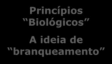 Abertura-controle-seletividade Principais