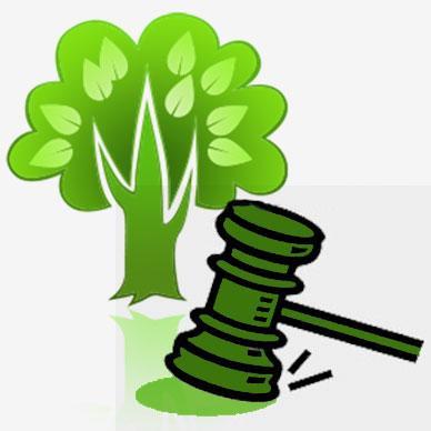 LEGISLAÇÃO AMBIENTAL: Conjunto de leis que tratam da matéria ambiental DIREITO AMBIENTAL: Conjunto de princípios e regras