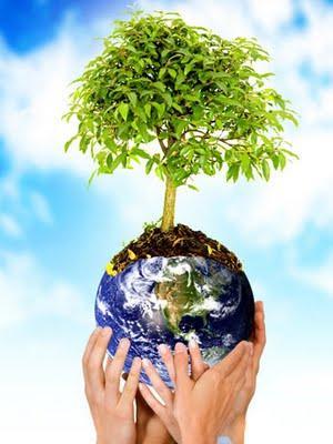 PRINCÍPIOS DO DIREITO AMBIENTAL 1- Princípio do Desenvolvimento Sustentado Possibilita a gestão do desenvolvimento, da utilização e proteção dos recursos naturais de forma a: - Manter o potencial dos