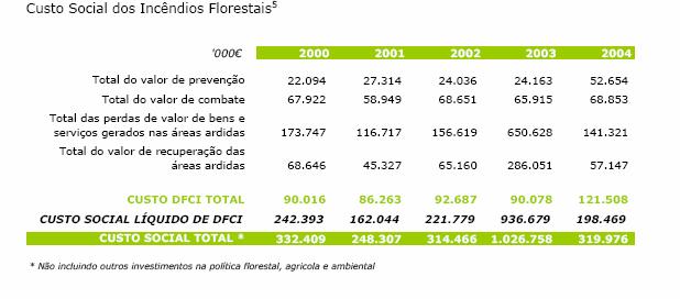 Custo social dos incêndios