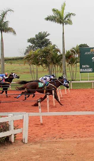 CLASSIFICATÓRIAS DO GP SOROCABA FUTURITY Páreos disputados com direito a quebra de recorde.