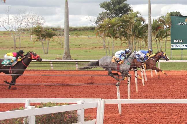 E no Páreo HARAS RLT, quem chegou na frente foi a fêmea do HARAS MANTOVANI,