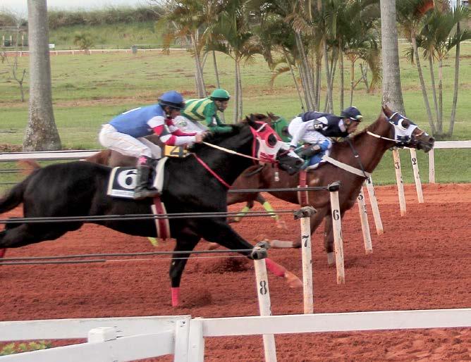 MS JESSIE VENCE O GP AMERICA FUTURITY Fêmea do Haras Portofino vence e sagra-se campeã Já na segunda finalísima - GP AMERICA FUTURITY com R$ 300.