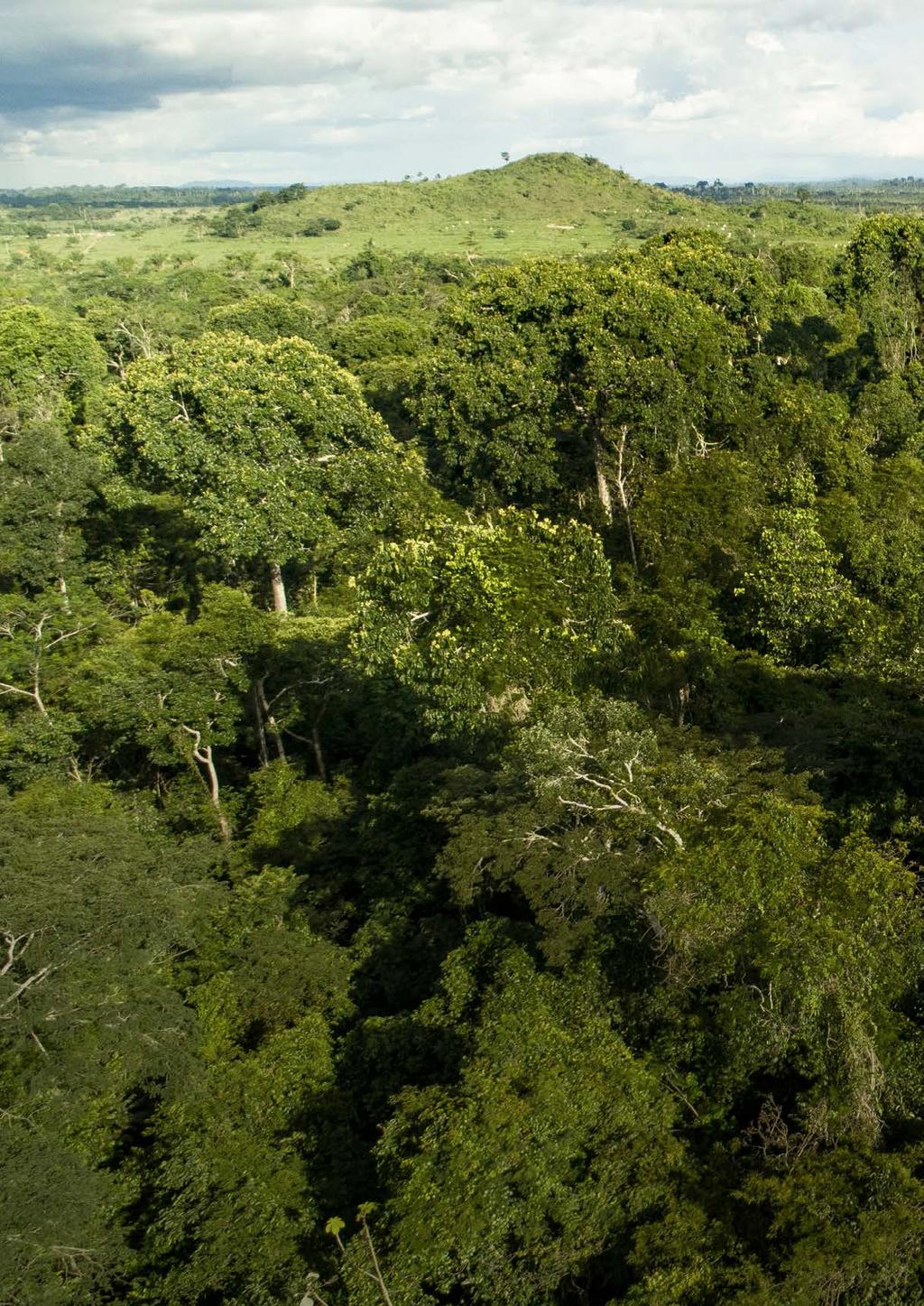 _Apresentação O ano de 2018 foi emblemático para o planejamento estratégico plurianual da Fundação Banco do Brasil.