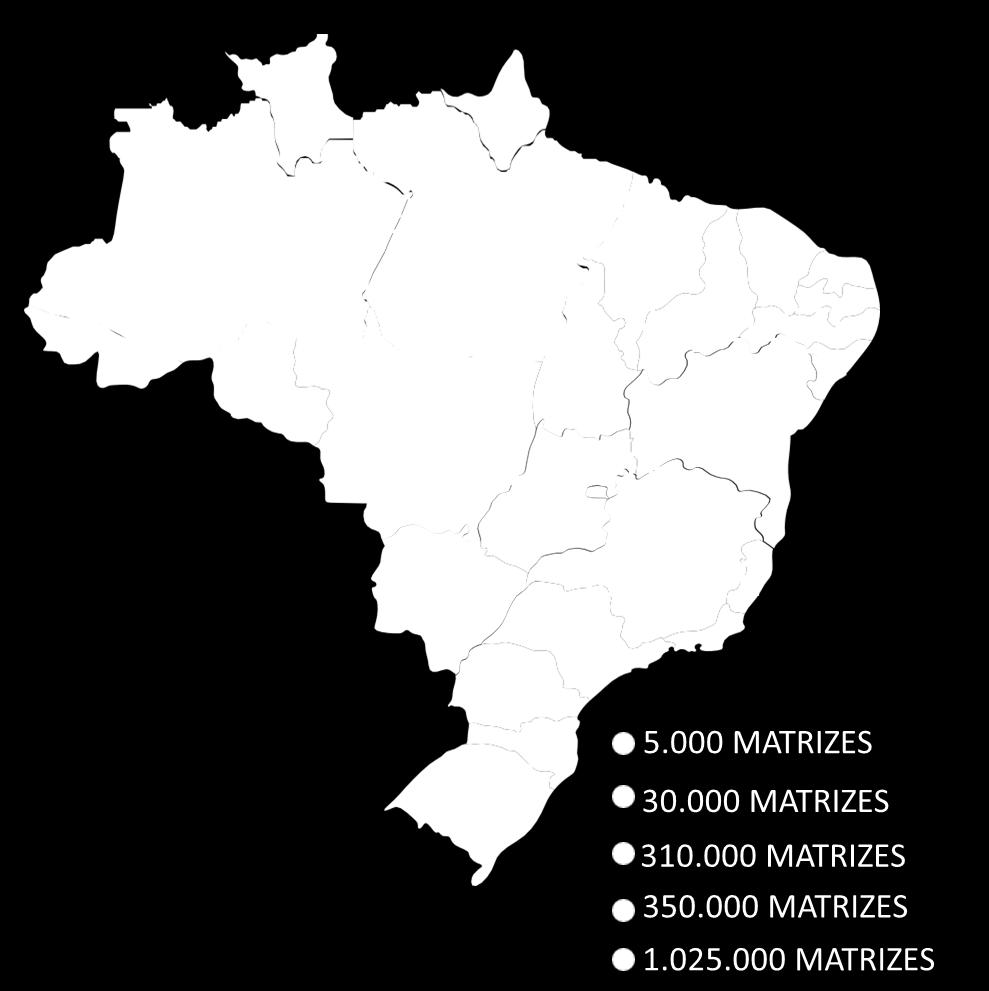SUINOCULTURA BRASILEIRA 1,7 milhão de matrizes Produção total de 3,76 milhões de toneladas (2017) 4 maior produtor e exportador mundial
