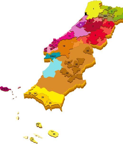 26 e Douro (IGP Duriense), Távora-Varosa (IGP Terras de Cister), Dão (IGP Terras do Dão), Bairrada (IGP Beira