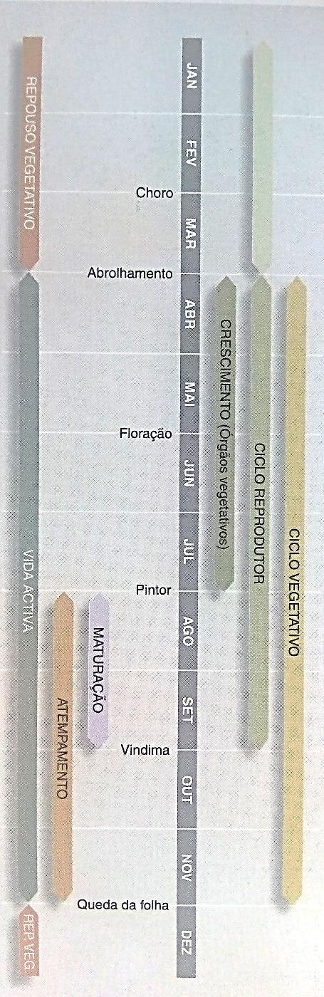 59 Tabela 4: Data de rega e respetiva duração.