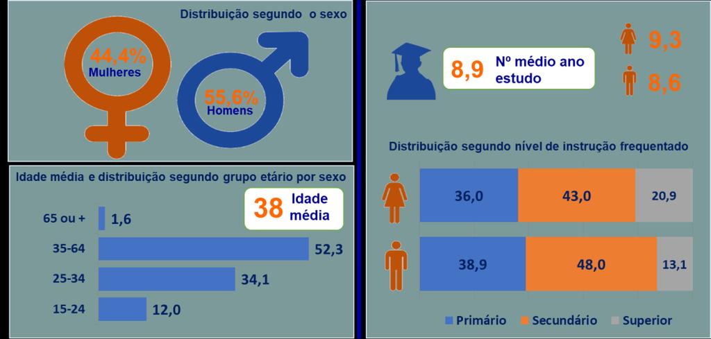 Gráfico 12: Perfil dos empregados (%).