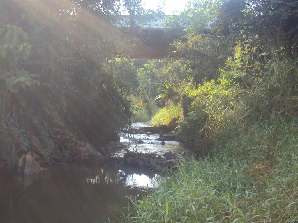 Figura 8 - Ponto de coleta 4, afluente do ribeirão Poço Grande, afluente do rio Juquiá, na bacia