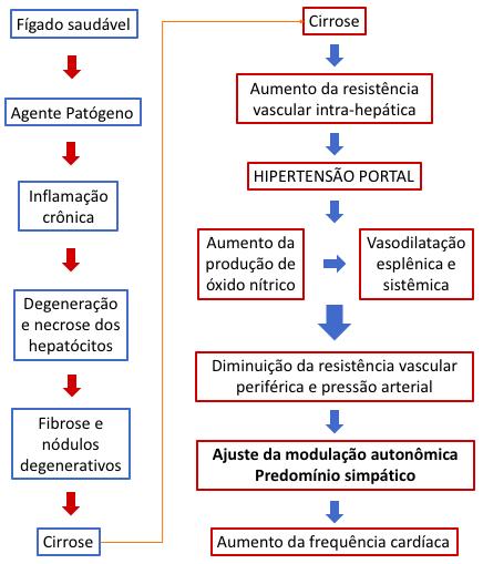 15 Figura 2 Esquema fisiológico do ajuste da modulação autonômica Fonte: do autor A circulação hiperdinâmica leva a disfunção autonômica através destes mecanismos que aumentam a quantidade de