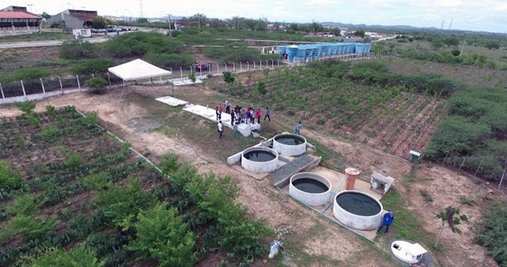 Pernambuco pode elevar viabilidade bioeconômica do umbu com reúso de água de esgoto Elismar Rodrigues Tecnologia criada inicialmente para o saneamento básico pode superar gargalos hídricos do Sertão