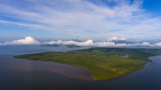 O QUE FAZER TURISMO ECOLÓGICO A preservação do meio ambiente e as características físicas da região fazem de Guaraqueçaba um lugar ideal para os