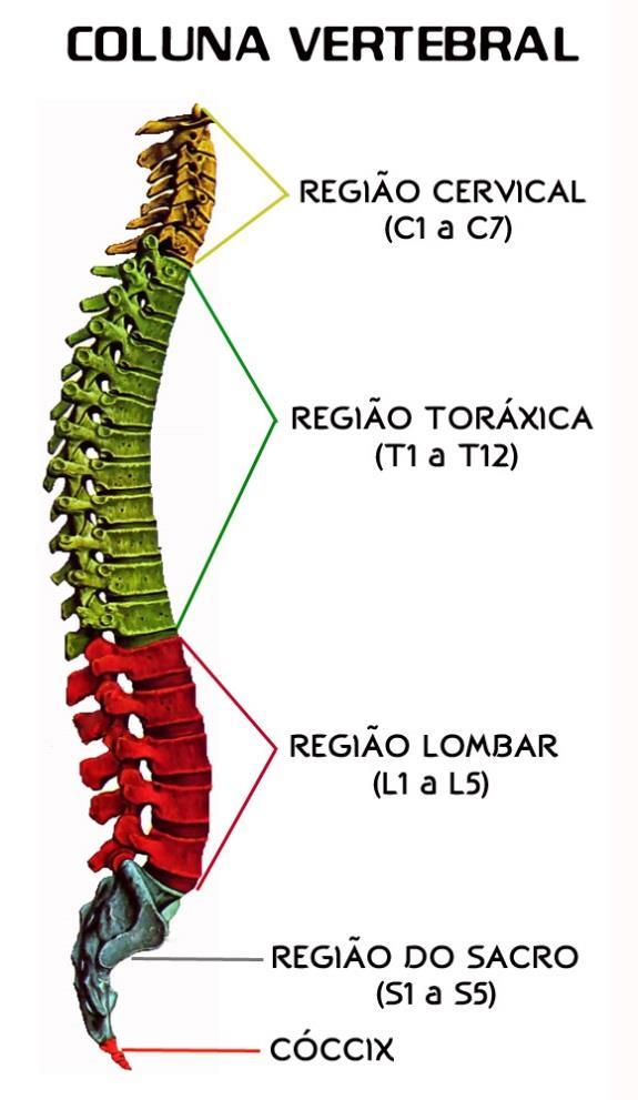 NEUROCIRURGIA o que é neurocirurgia?