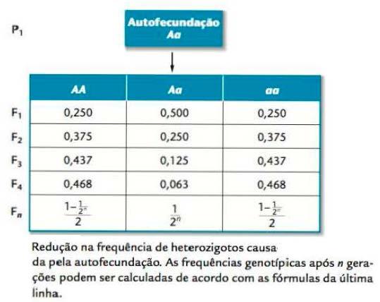 aleatório muda as frequências