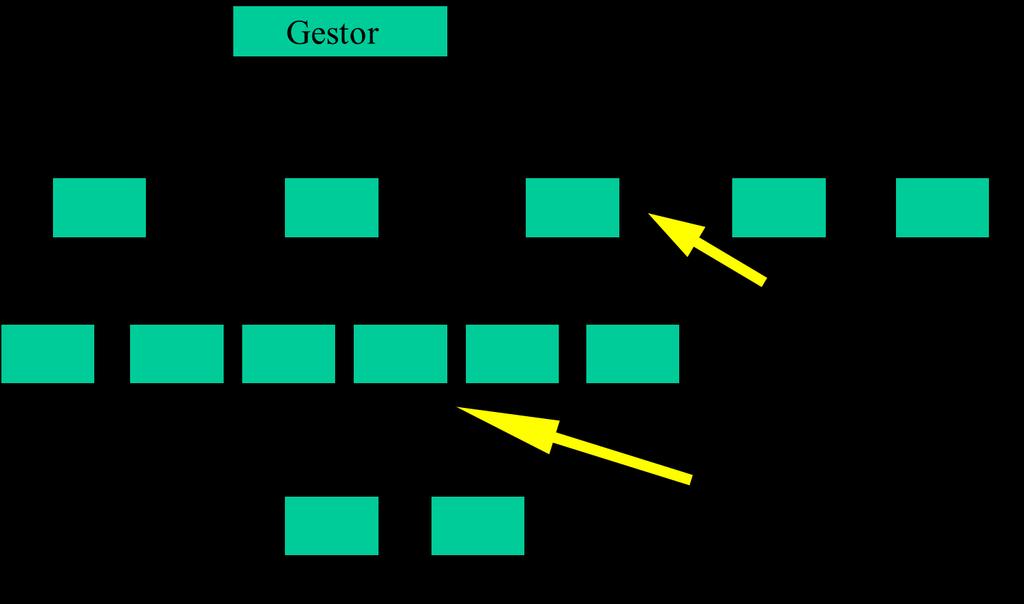 Vamos avaliar 3 tipos de organização existentes antes de analisarmos como funciona a gestão do projecto de cada uma delas - Organização Funcional - Organização Orientada por projectos - Organização