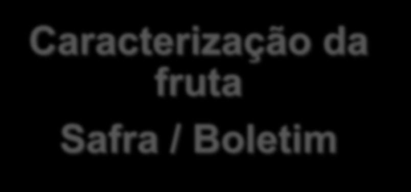 fruta Safra / Boletim Suporte