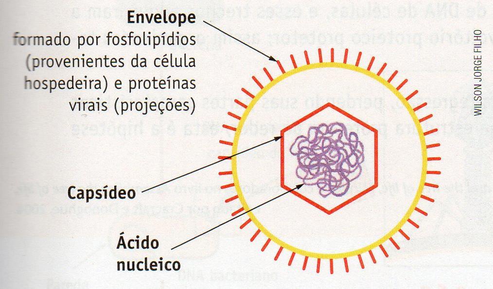 envelope Vírus envelopado