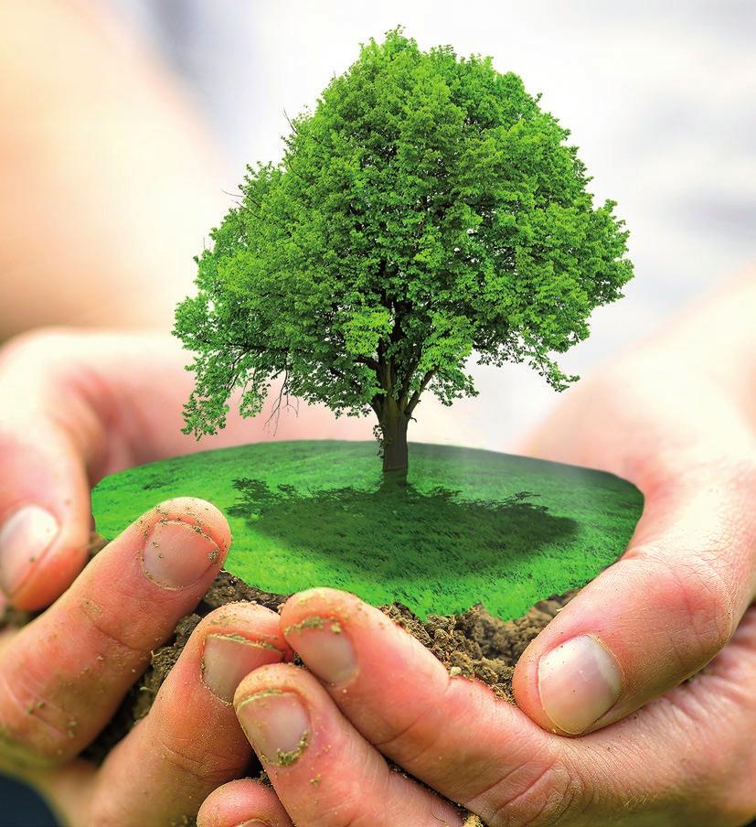 16 Meio Ambiente A CQG crê no uso sustentável do meio ambiente como condição essencial ao desenvolvimento e sucesso de seus negócios.