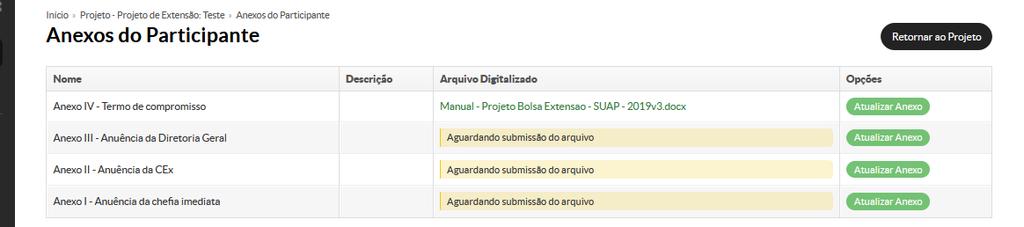 Confira o nome do arquivo para se certificar se o mesmo corresponde ao arquivo que se pretendia anexar.