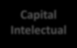 Capital Estrutural 29 mil m² de