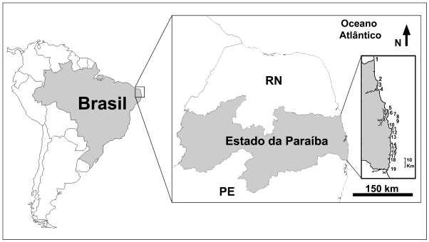 26 Figura 1: Localização da área de coleta de esponjas, Costa da Paraíba (Brasil) (1 a 19: pontos de amostragem): 1, Barra de Camaratuba (Fig. 2A); 2, Baía da Traição (Fig.