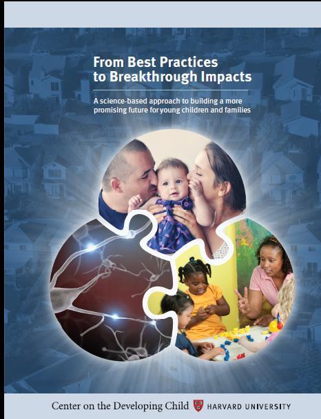 Das Boas Práticas aos Bons Impactos O campo da IPI inclui uma variedade de políticas e programas de apoio às famílias capacitando-as para um bom e saudável desenvolvimento dos seus filhos: