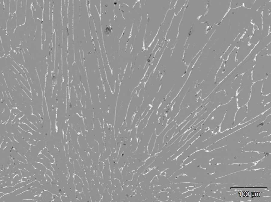 Outras micrografias de elétrons retroespalhados de campos maiores da amostra podem ser vistas na Figura 8 e na Figura 10.