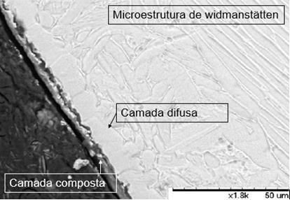 Figura 3- Microscopia eletrônica de varredura mostrando as camadas composta, difusa e a microestrutura de Widmanstätten.