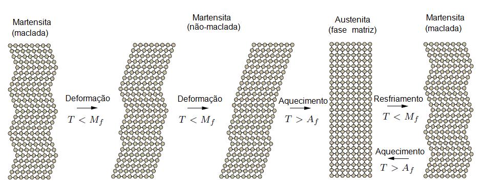 28 A transformação de uma fase para outra não ocorre por difusão atômica, mas através de distorções por cisalhamento, conhecida como Transformação Martensítica (TM), e cada cristal de martensita