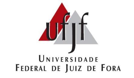 html FIGURAS GEOMÉTRICAS Universidade Federal de Juiz de Fora