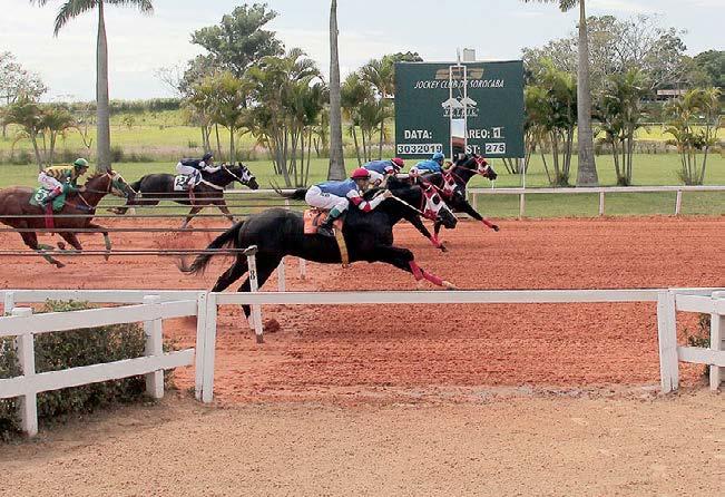 DE TIRAR O FÔLEGO! Classificatórias do GP Super Sprint e finais dos GP s Torneio Início e Challenge levantaram o público no último sábado 30/03.