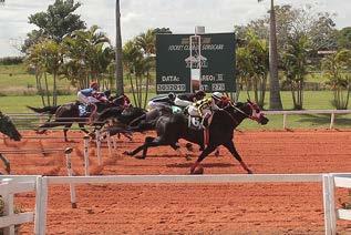 Numa bela disputa cabeça a cabeça, na segunda colocação veio TERREMOTO DA SHALAKO (Granite Lake x Karisma Bac, Splash Bac) do Haras Weisheimer e, em terceiro lugar chegou GARIMPEIRO