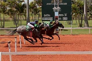 O segundo páreo classificatório do GP Super Sprint foi vencido por AMY VISTA (Get Down Perry x Teller Im Sweet, Teller Cartel), fêmea do Stud dos Amigos e