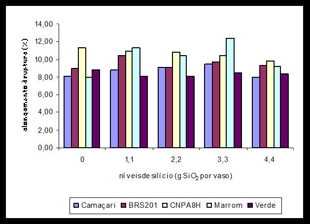 cultivares Branco Cultivares de Algodão Colorido 80 70 60 50 40 30 69 44 49 62 45 40 43 59 60 56 Marrom Verde 20 10 0 0 1,1 2,2 3,3 4,4 níveis de silício (g