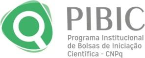 IV.2. O provimento de recursos para o pagamento das bolsas é de exclusiva responsabilidade do CNPq, cabendo ao UNISAL unicamente a intermediação no CNPq por ocasião de interesse coletivo, sobre