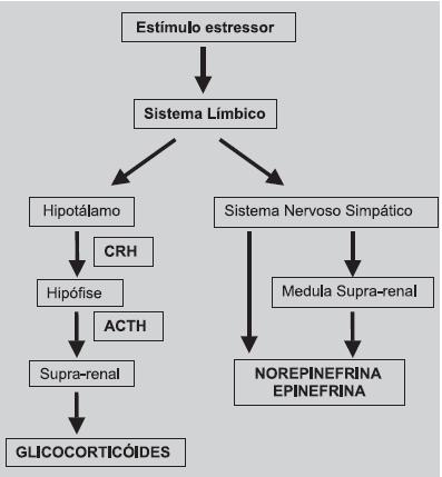 organismo: