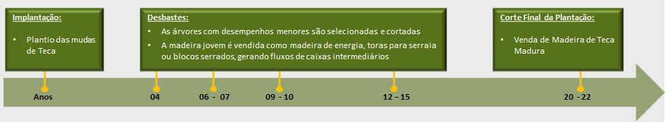 RESUMO PÚBLICO PLANO DE MANEJO FLORESTAL2019 6 Atualmente considera a opção de manejo do plantio com um ciclo de 20 anos.