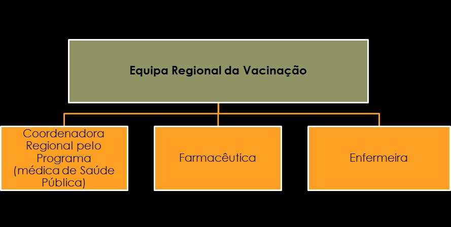 e. Promover a formação dos profissionais de saúde diretamente implicados na vacinação; f.