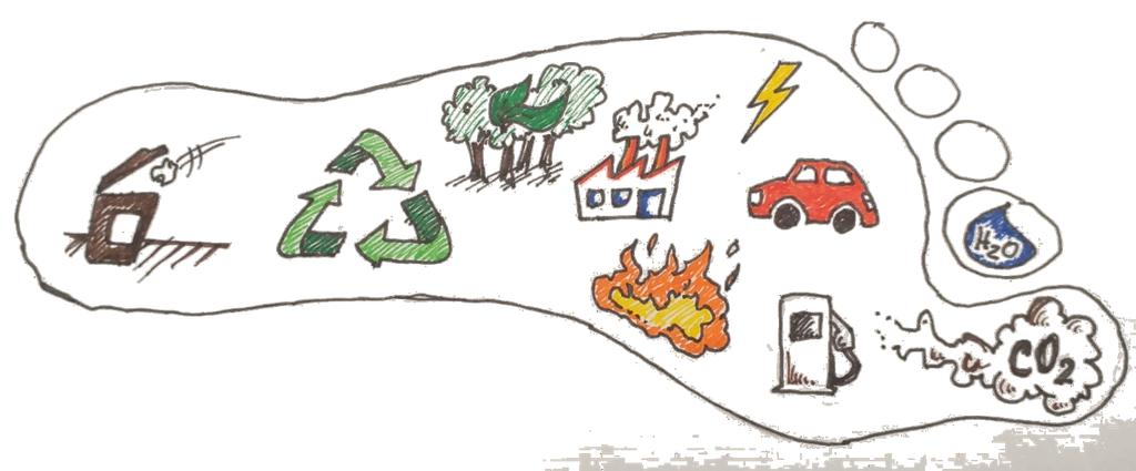 Pegada Carbónica Contributos para a pegada carbónica: Transporte