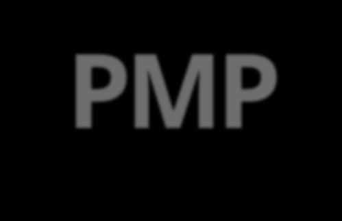 PMP O PMI mantém desde 1985 um processo rigoroso para o programa de certificação profissional. Aumenta a segurança dos clientes. Proporciona aumento salarial potencial.