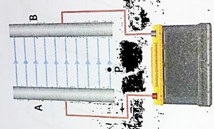 (C) Manifesta-se pela ação de forças elétricas que sejam colocadas no seu interior.