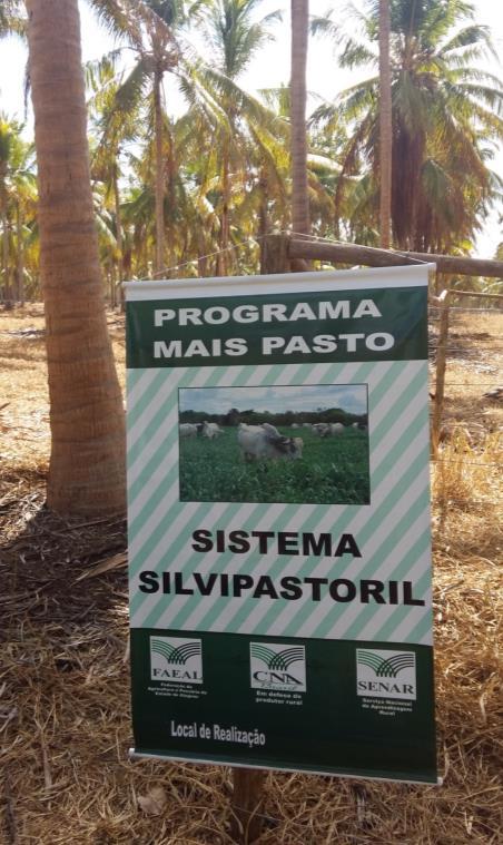 NAMA Ganaderia Uso da pecuária como mitigador do efeito estufa Ministério da Agricultura y