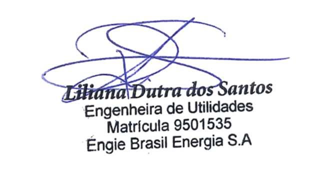 9 RESPONSABILIDADE TÉCNICA ELABORAÇÃO Liliana Dutra dos Santos Formação Cargo Registro Profissional ART associada Engenheira Química Engenheira de Utilidades CREA-SC 125682-0 6846844-2 APROVAÇÃO