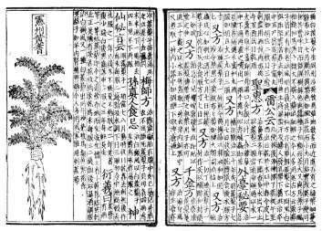 China (2900 a.c.) Início dos estudos com plantas e acupuntura. Pen T asso (2000 a.c.) primeira obra sobre plantas medicinais escrita pelo legendário imperador chinês Shen-Nung.