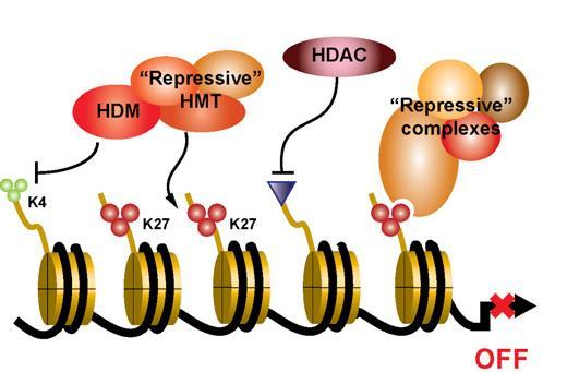 48 Figura 4-A Desregulação de genes supressores tumorais por metiltransferase de histona.