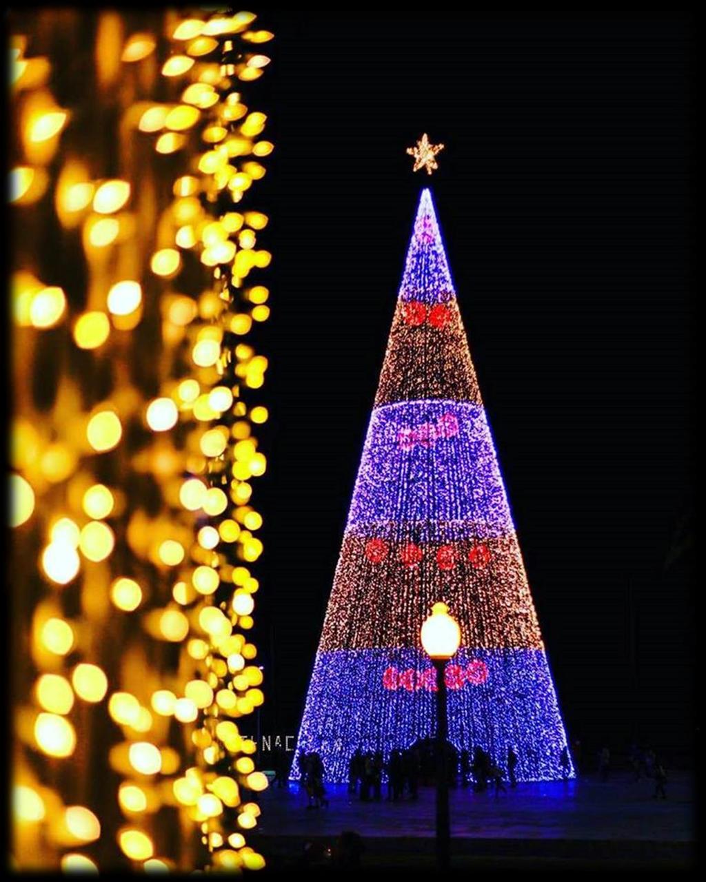 CITAÇÕES A Madeira é mágica. Nós temos de visitá-la novamente durante as celebrações de Natal e Ano Novo.