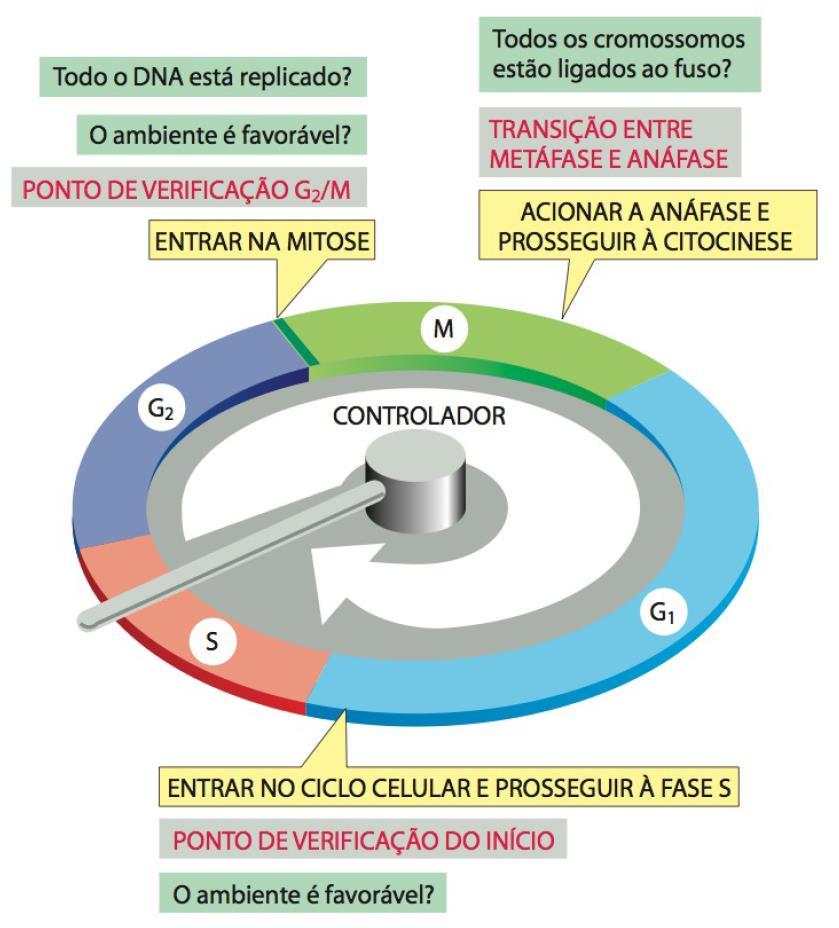 Pontos de